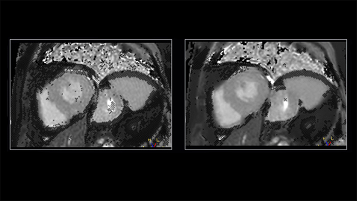Clinical images figure 3
